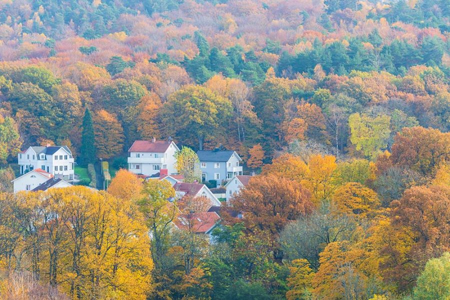 Long-term measurement